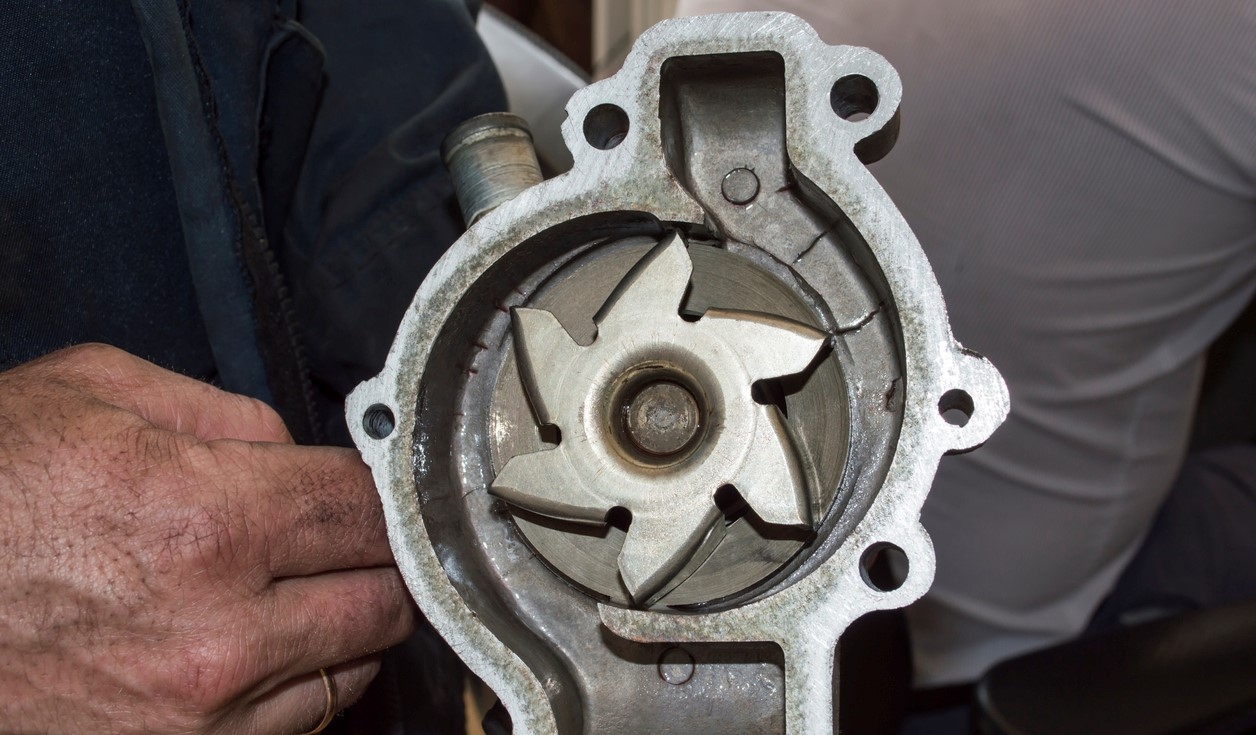 Image related to test image